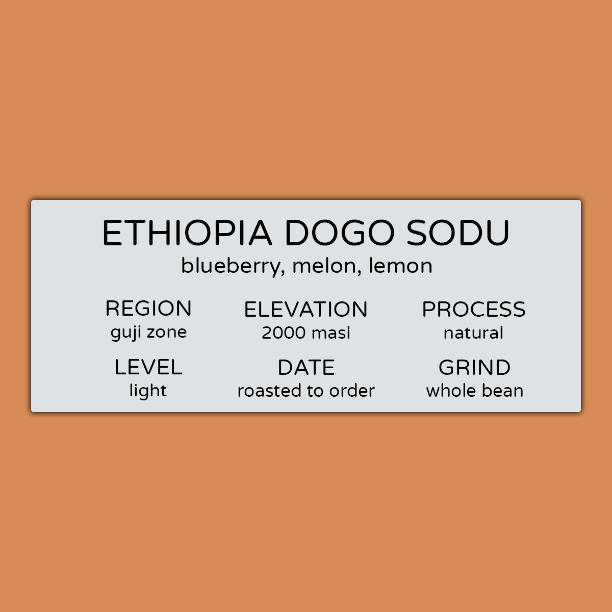 ETHIOPIA DOGO SODU