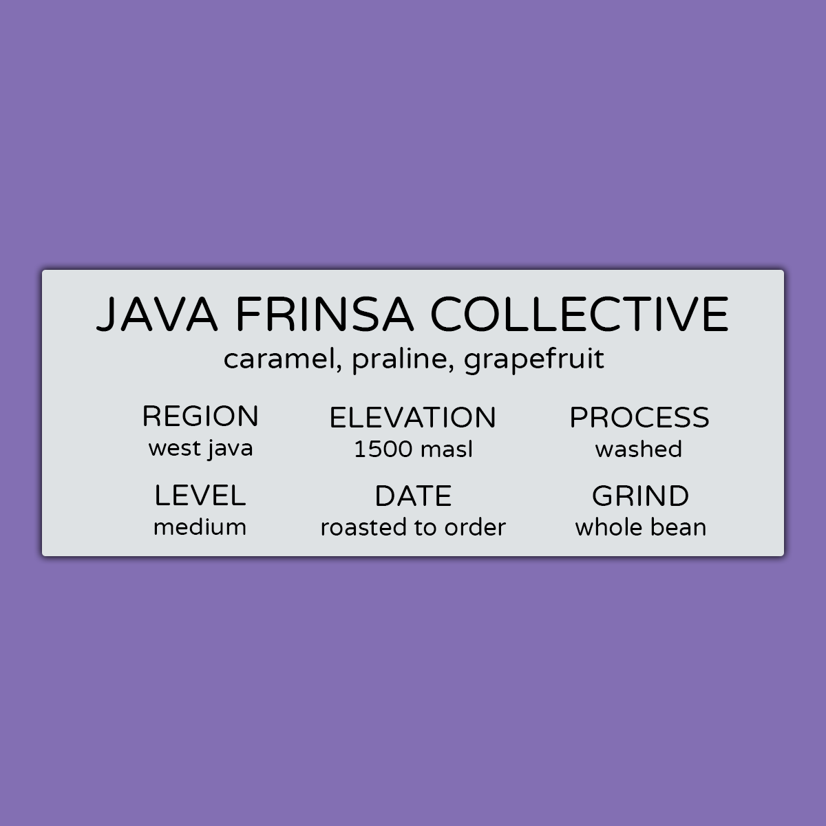 JAVA FRINSA COLLECTIVE