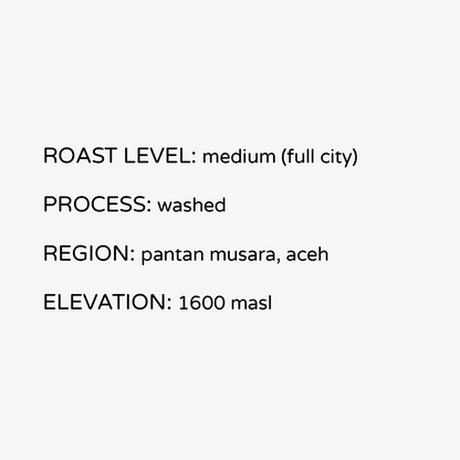 Sumatra Ribang Gayo